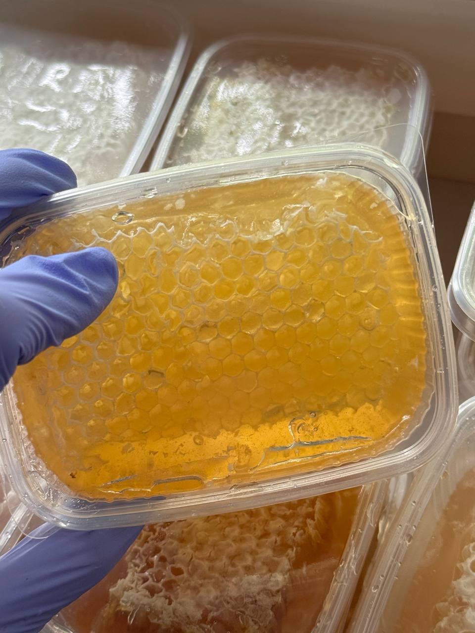 Deutscher Wabenhonig 2.2 kg/1kg/ 0.5kg/ 0.25kg