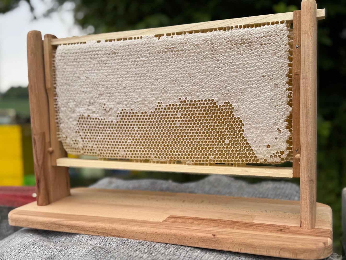 Wabenhonig ca 2kg und Rähmchenhalter